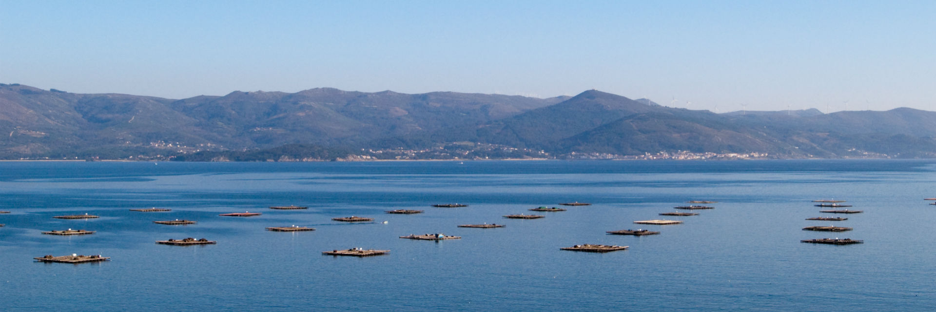 Bateas de mejillones gallegos